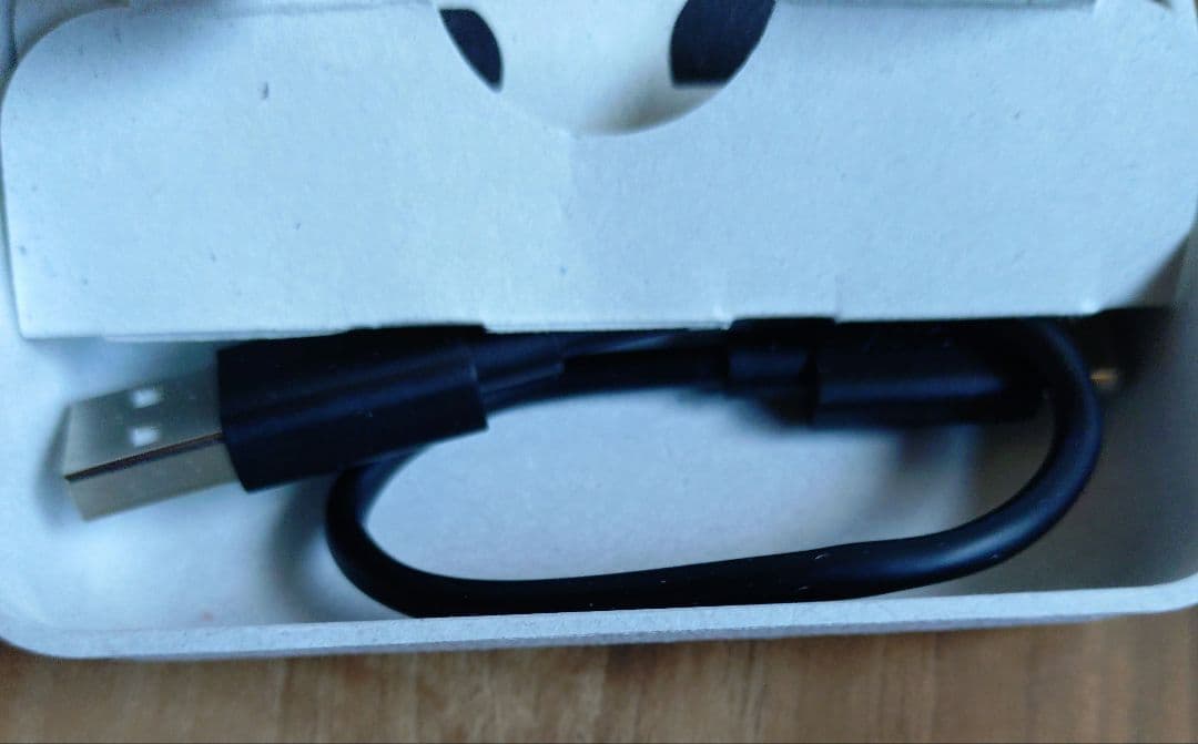 SONY WF-1000XM4 ワイヤレスイヤホン ブラック 充電ケーブル付き