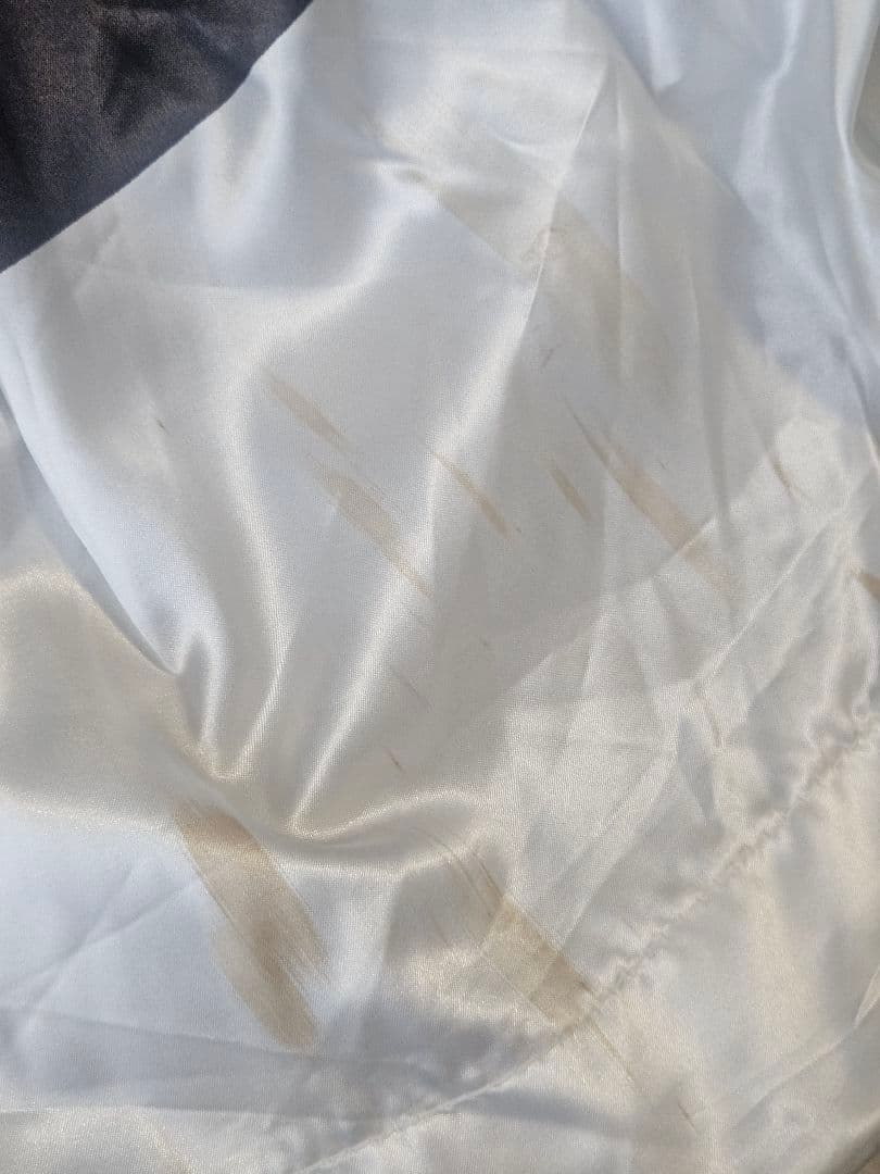 鯉のぼり　有職 江戸鯉 徳永鯉