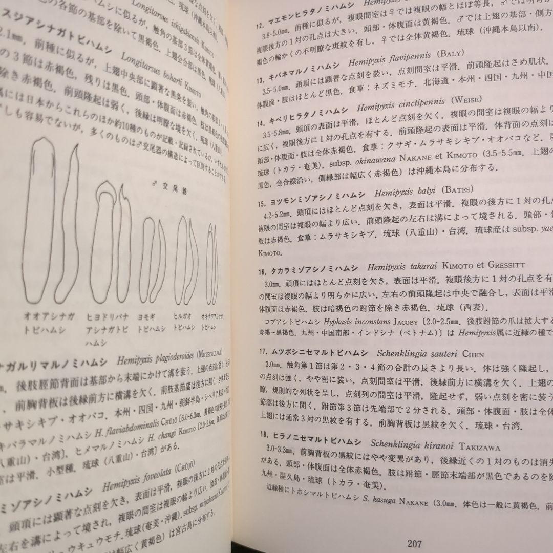原色日本甲虫図鑑 IV