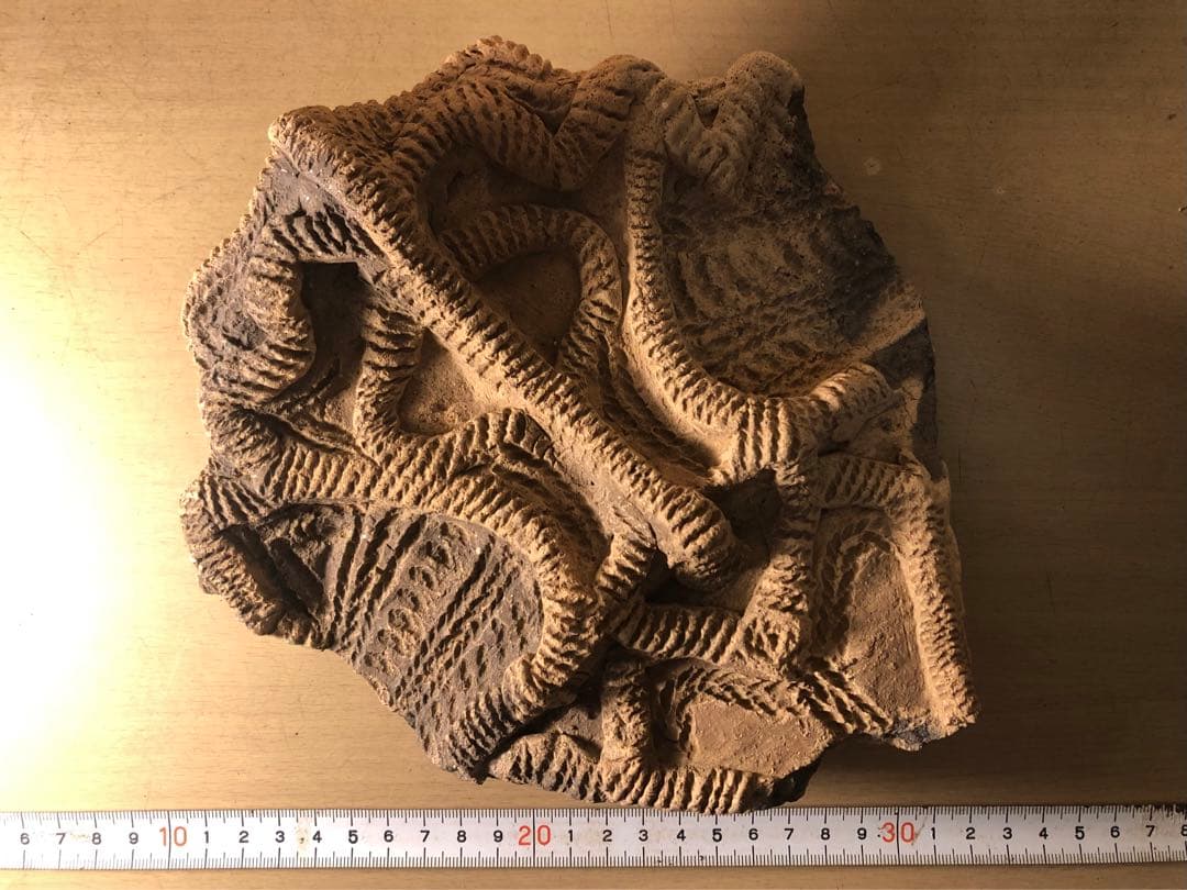 「土器の欠片 縁の部分 No.697」です。