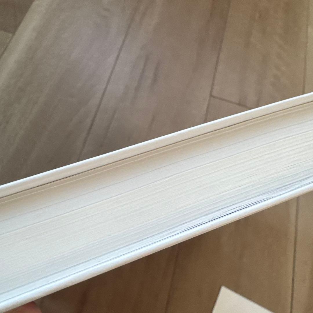 美品 La Révolution cubiste ￼