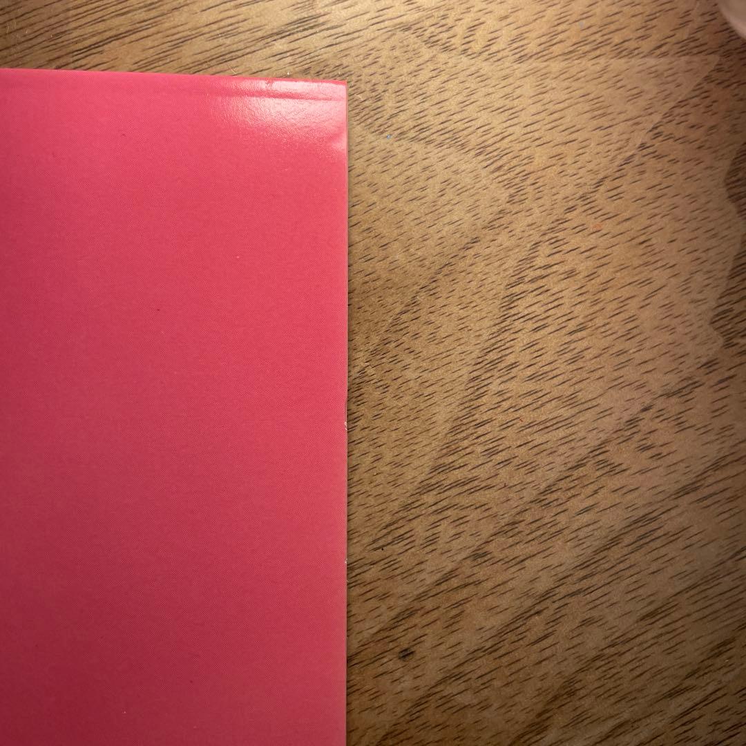 ゆらゆら帝国 / できない 12インチ レコード