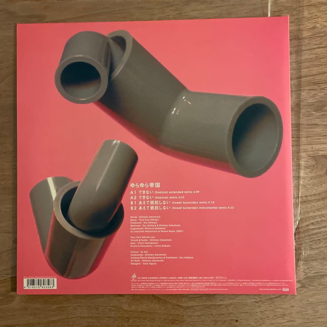 ゆらゆら帝国 / できない 12インチ レコード