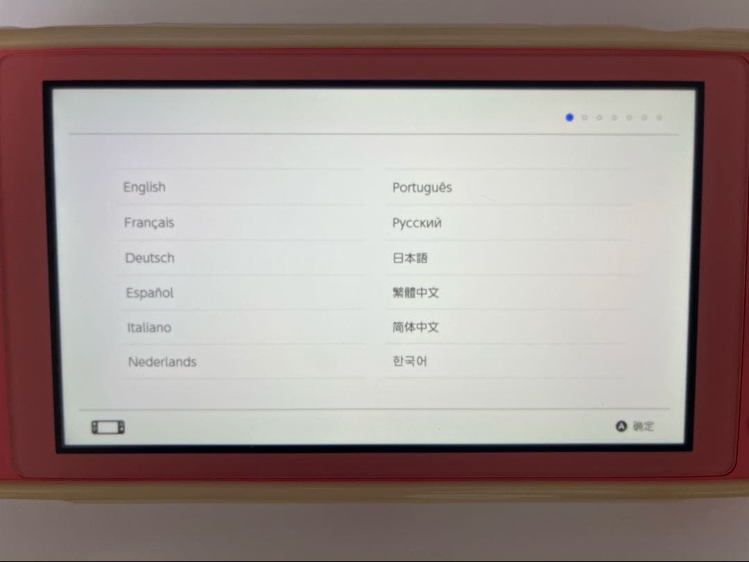Nintendo Switch Lite ピンク 本体※おまけ付き※