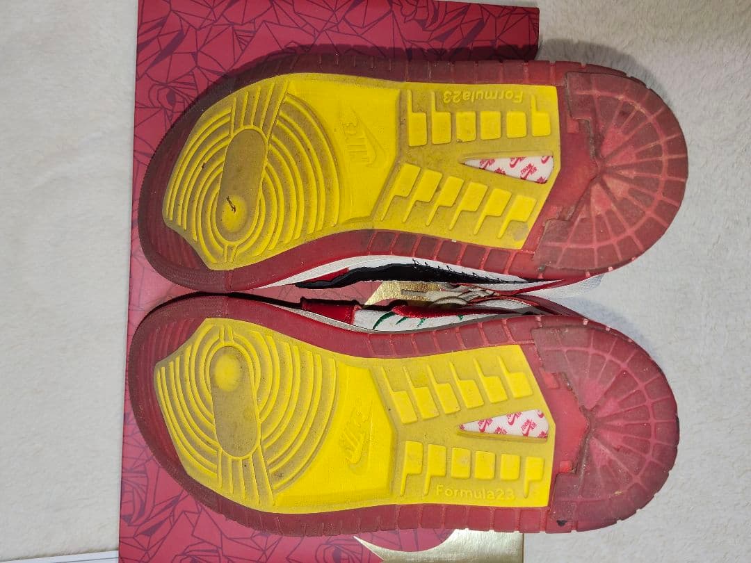 テヤナ テイラー ナイキ ウィメンズ エアジョーダン1