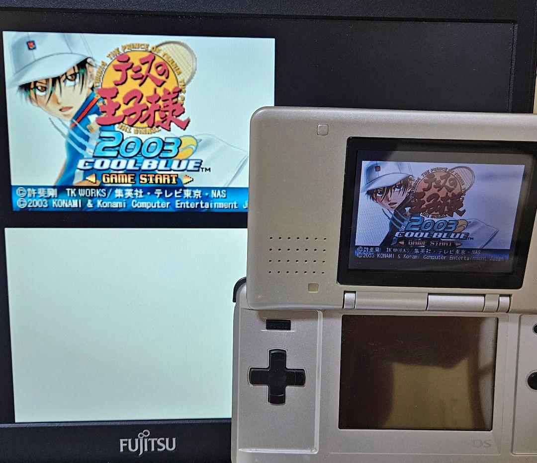 偽トロキャプチャー DS