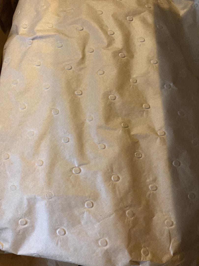 ランドクルーザー250 丸目ヘッドライト左右