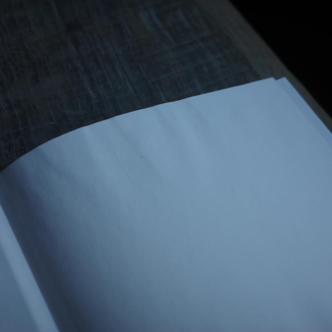 アート・デザイン・音楽 Life Adjustment Center RYAN McGINLEY