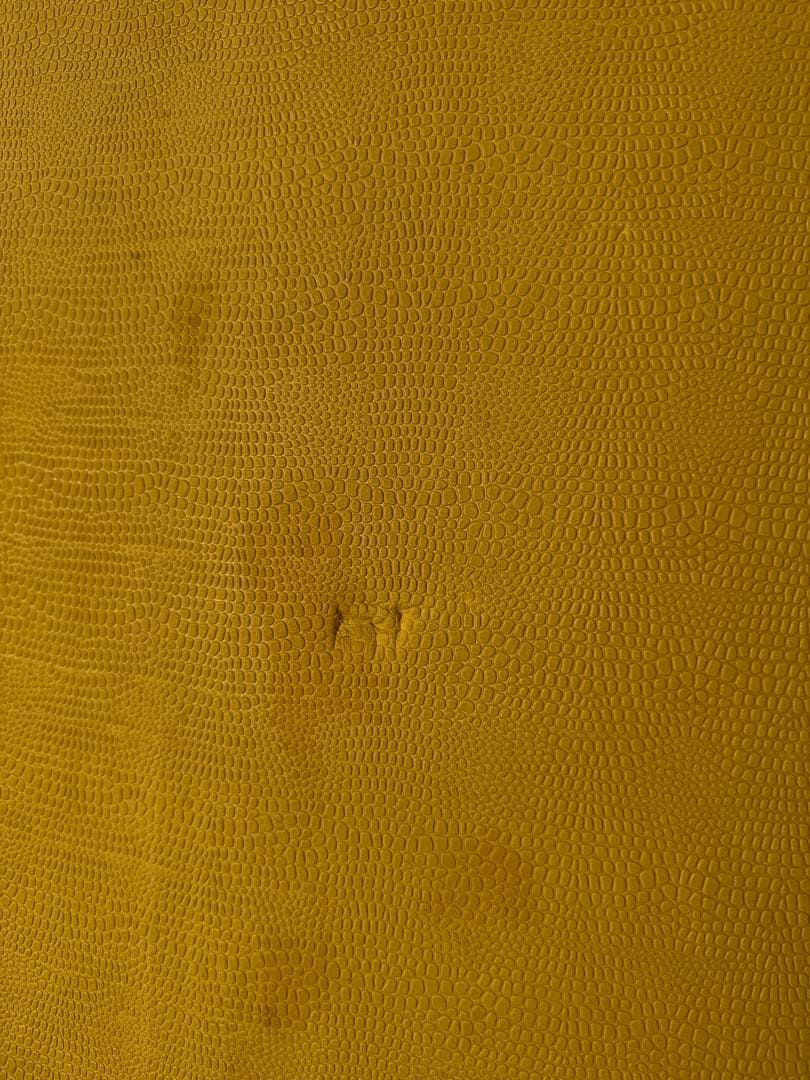 CRANE 7'0 イエローファンボード