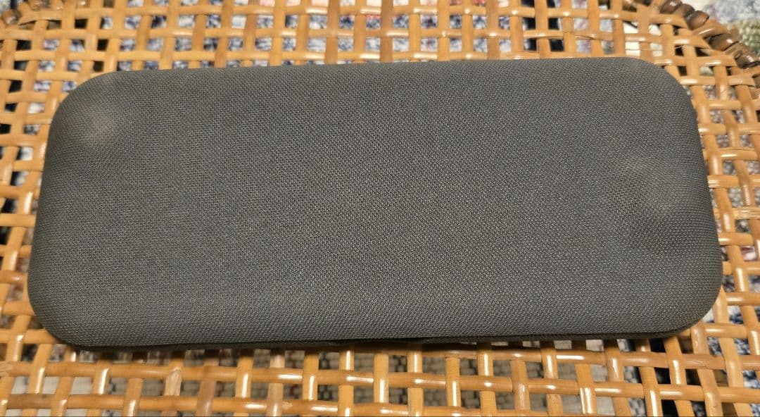 Nintendo Switch Lite グレー 本体 ハードケース付属