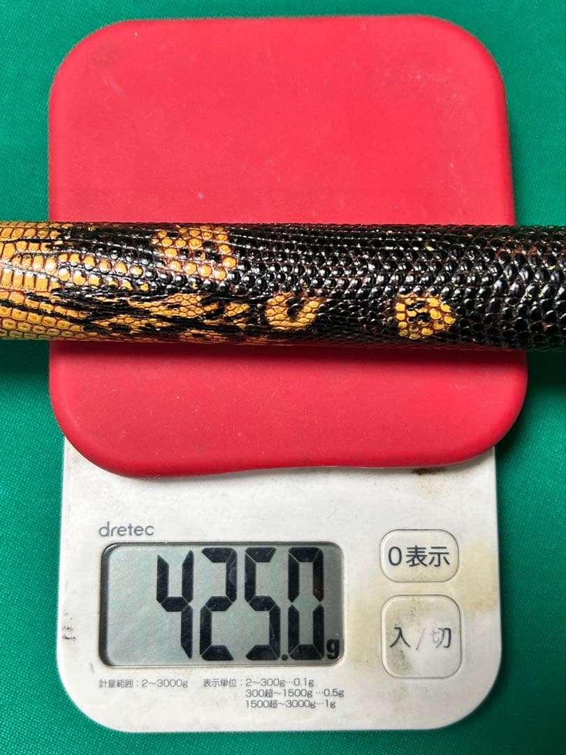 A*k様 ジュリー・オリビエ カスタムキュー 10山