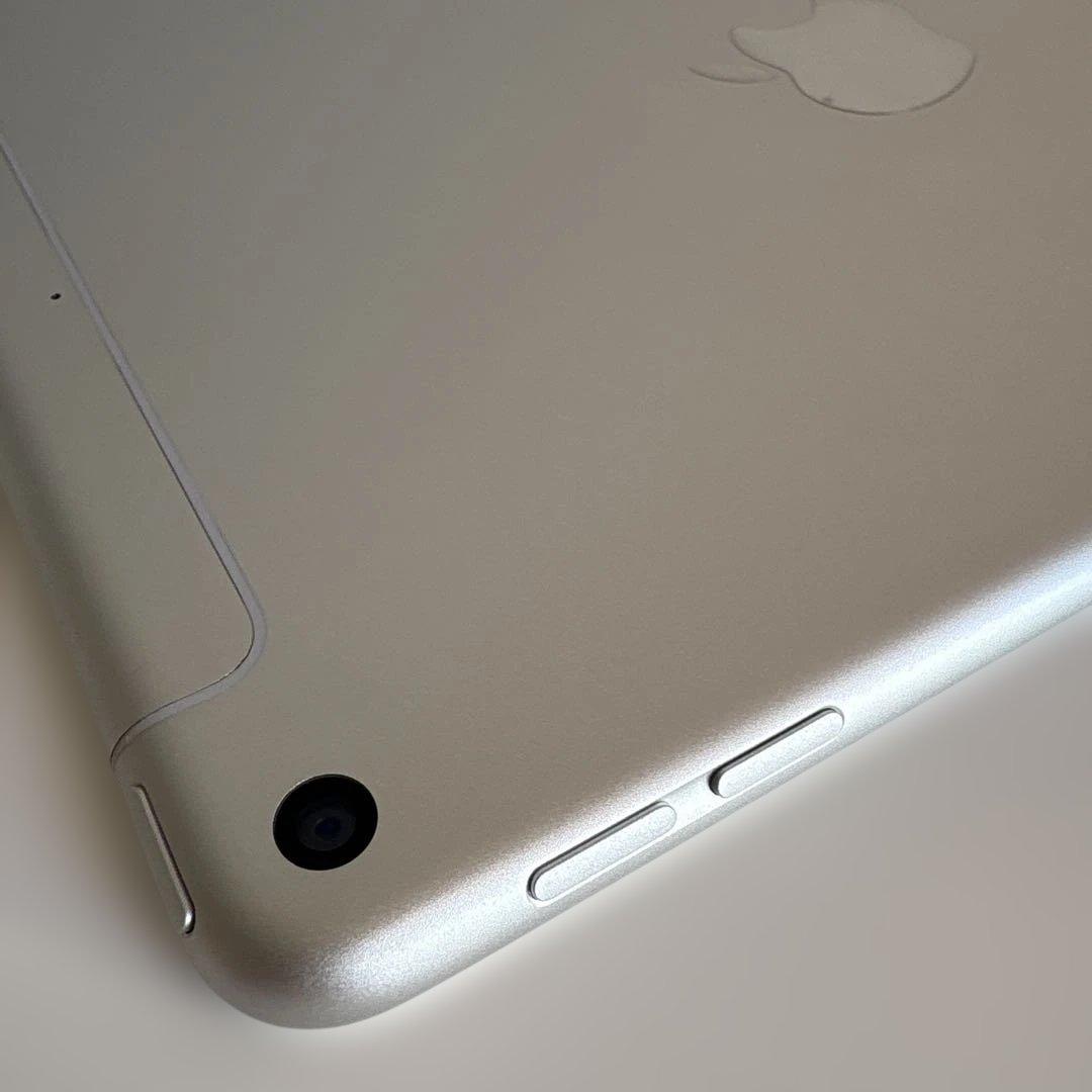 【超美品】iPad mini5 Wi-Fi+Cellular モデル 64GB