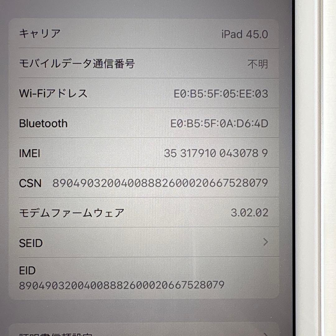 【超美品】iPad mini5 Wi-Fi+Cellular モデル 64GB