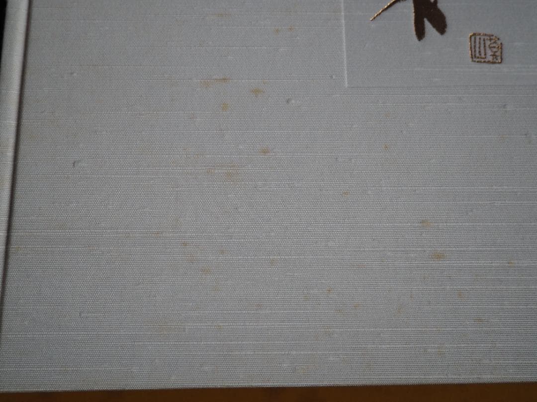 仏陀巡礼: 並河万里写真集 大型本 並河万里 (著)