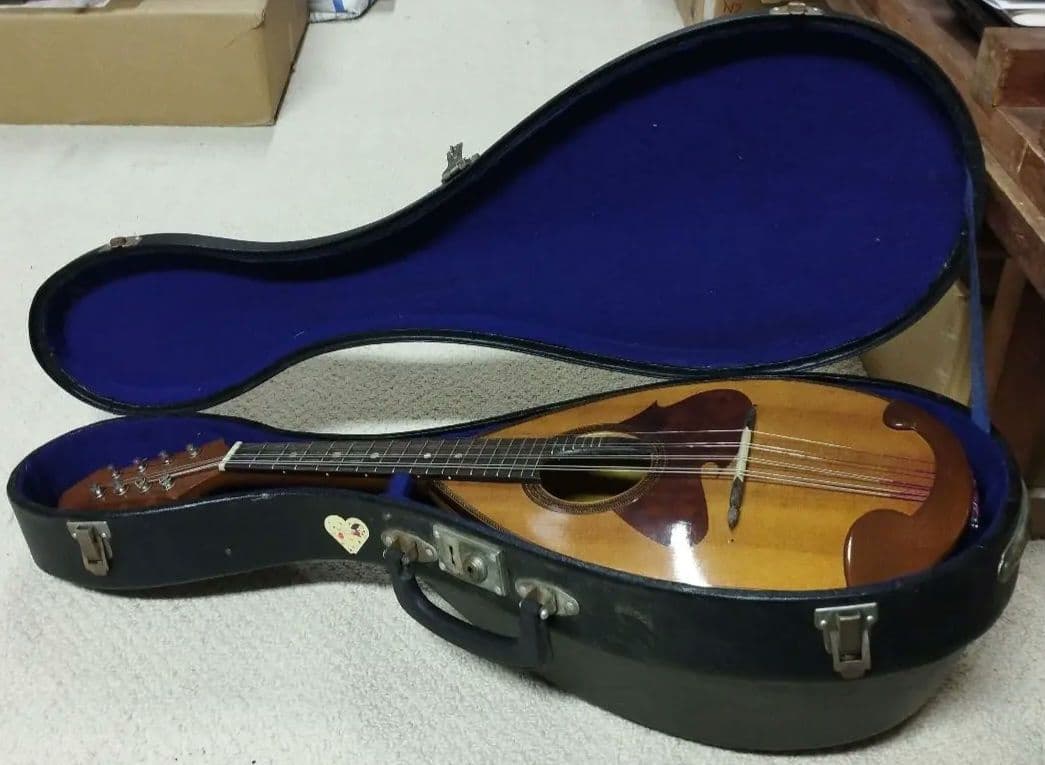 マンドリン　SUZUKIバイオリン社製　ハードケース付き　228　送料込み