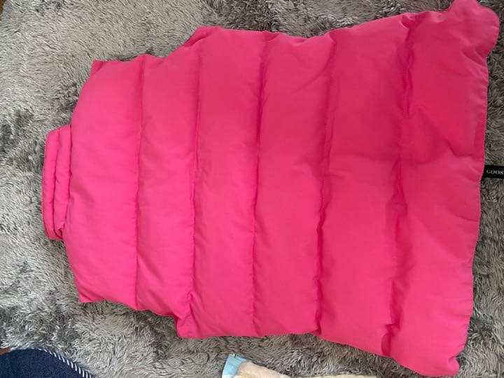 今のうち！美品！カナダグース ダウンベスト