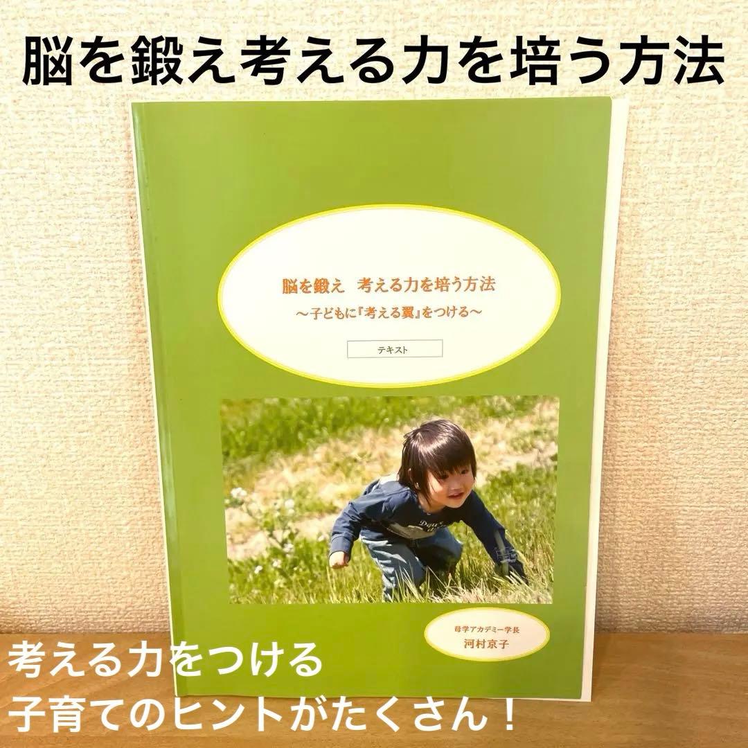 母学　母学アカデミー　河村京子　知育　早期教育　考える力　テキスト　動画教材
