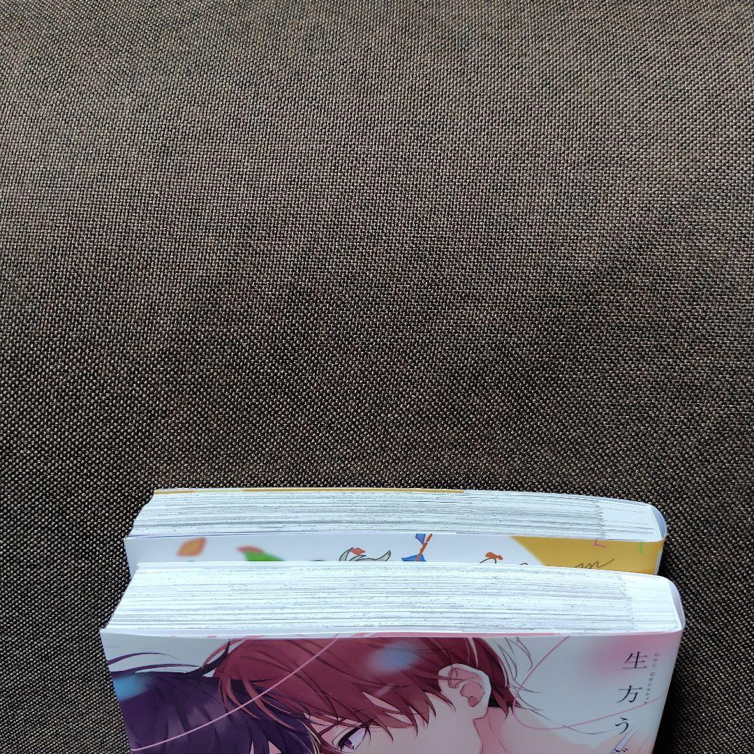 BL新刊　杏介くんの初恋はまだ　/　ブルーム・スクリプト　(コミコミ)