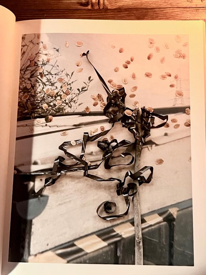 【絶版】スティーブン・ギル Hackney Flowers