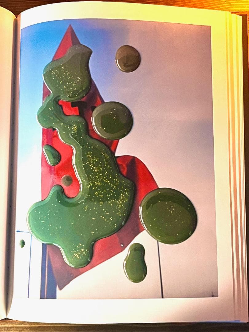 【絶版】スティーブン・ギル Hackney Flowers