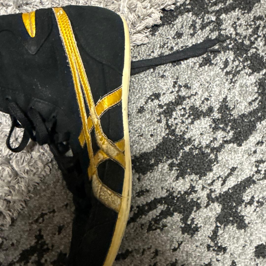 asics レスリングシューズ　旧オーダー