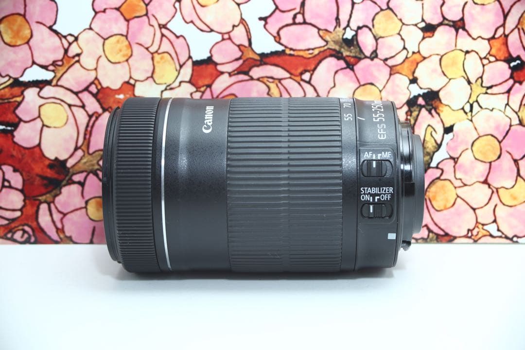 ❤️高性能望遠レンズ❤️Canon EF-S 55-250mm IS STM❤️