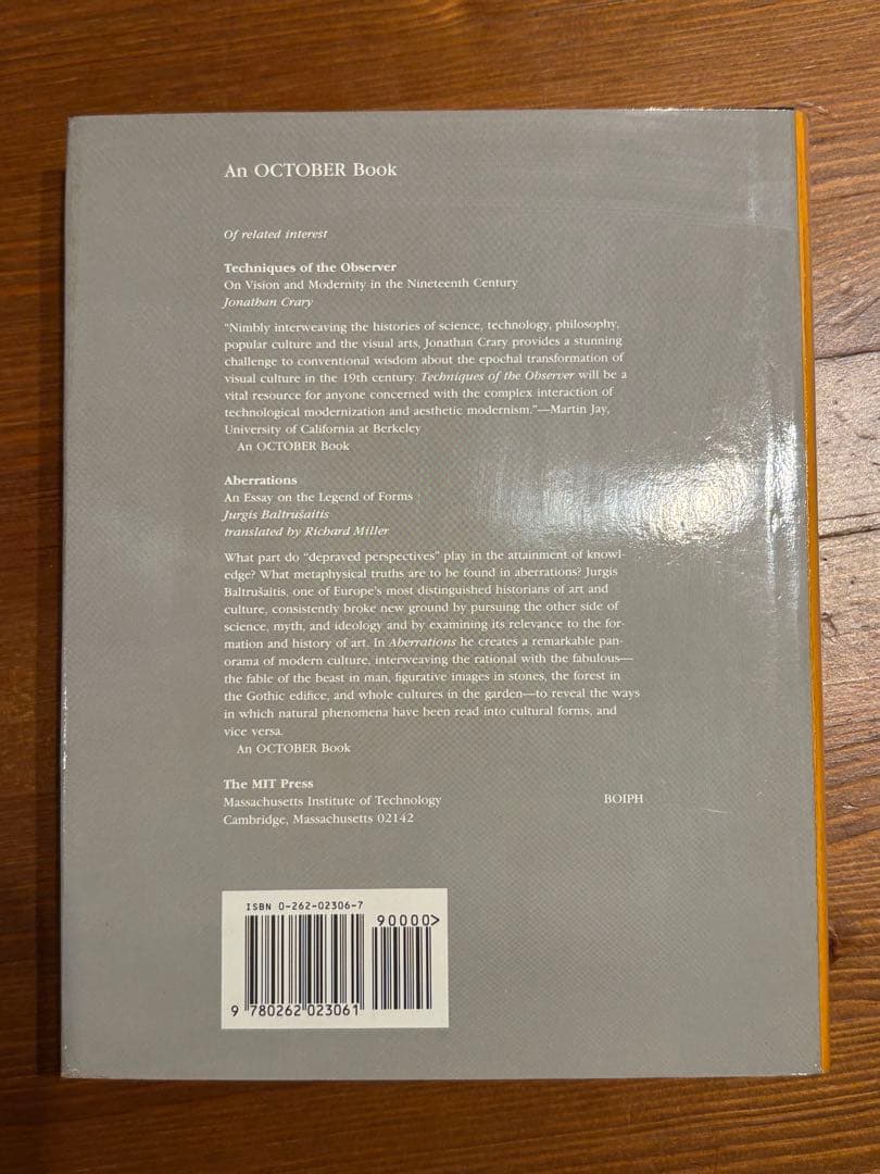 アート・デザイン・音楽 Painting as Model by Yve-Alain Bois