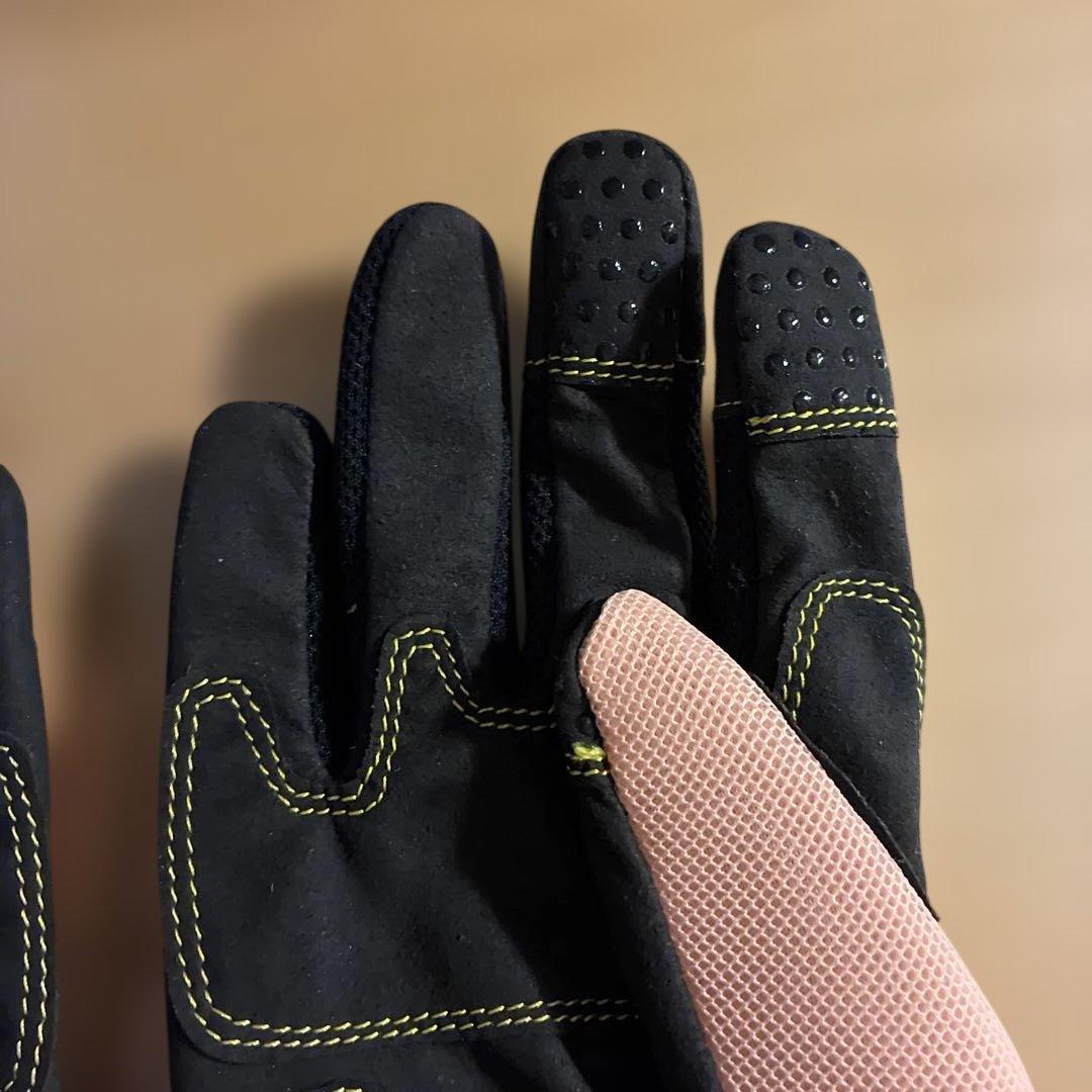 DAMMFLAPPER CHEERPapillon 54_56cm セット販売