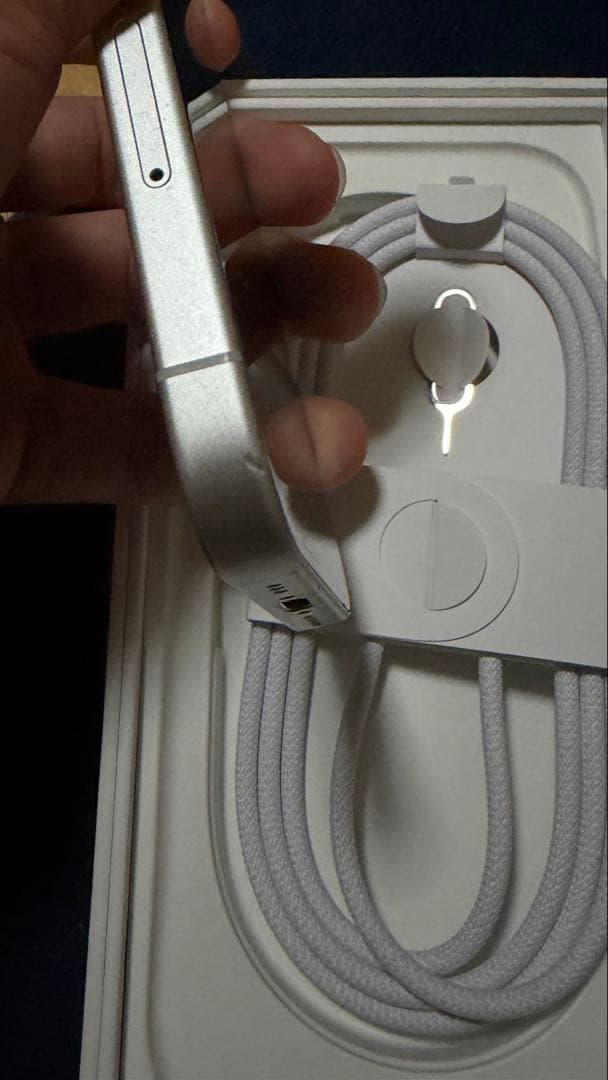 Apple iPhone 16 256GB SIMロックなし