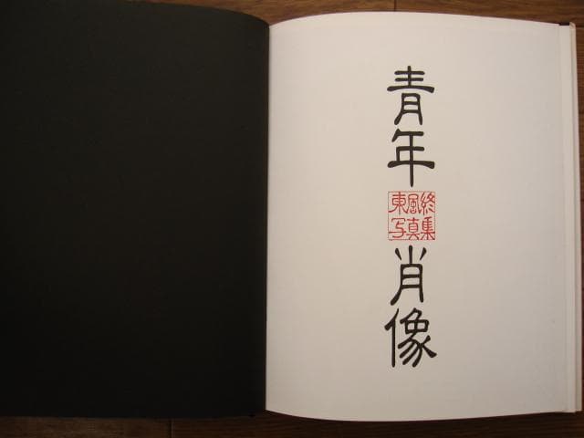青年肖像　日本の男が美しい　東風終