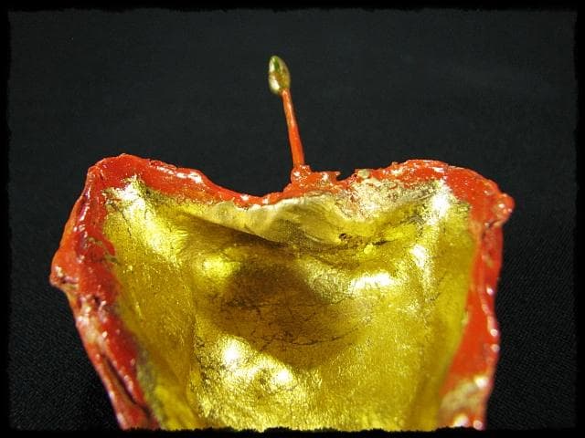 名工 田中 篁秋 鬼灯 ほうづき 宝月 香合 茶道具 e140