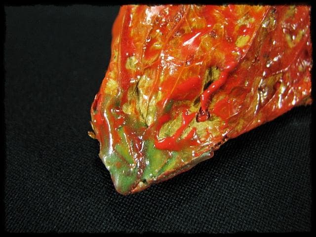 名工 田中 篁秋 鬼灯 ほうづき 宝月 香合 茶道具 e140