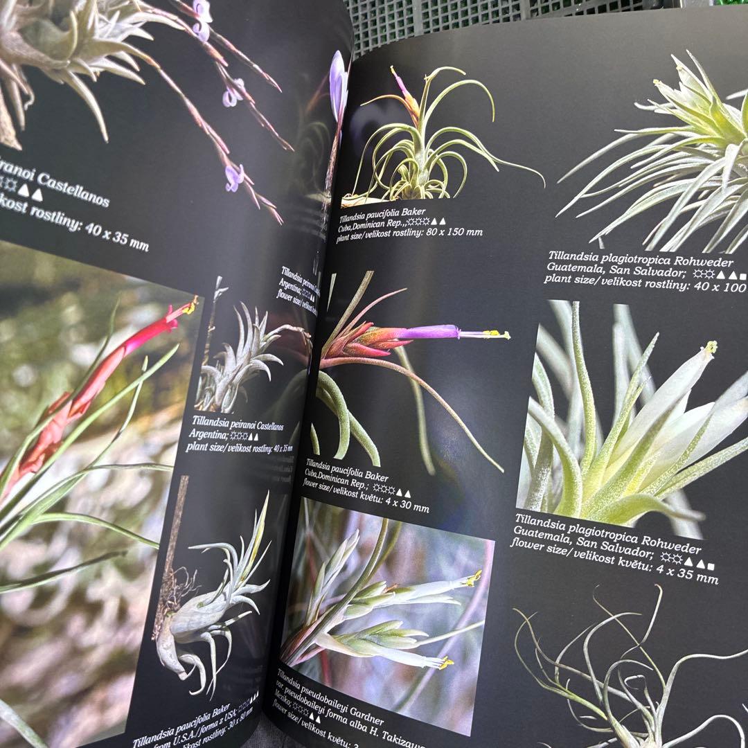 World of Tillandsia Jan Maruska著