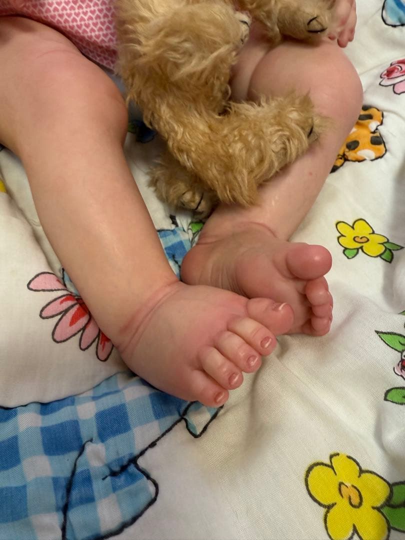 リボーンドール　Teegan