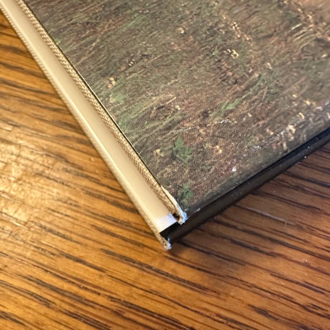 稀少！野口ミチオ写真集【石に生きる 和泉正敏の仕事】イサム・ノグチ