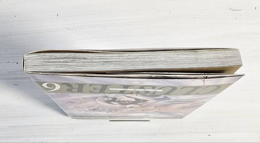 CLUSTER 第6章 初版 秋山たまよ 匿名配送・翌日発送