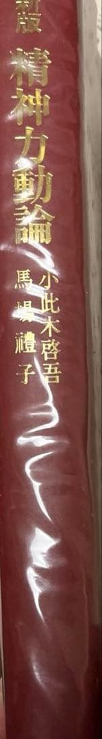 ✨新版　精神力動論✨