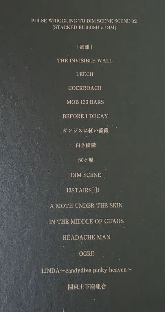 the GazettE ガゼット 再定義 DVD FC限定 フォトブック付