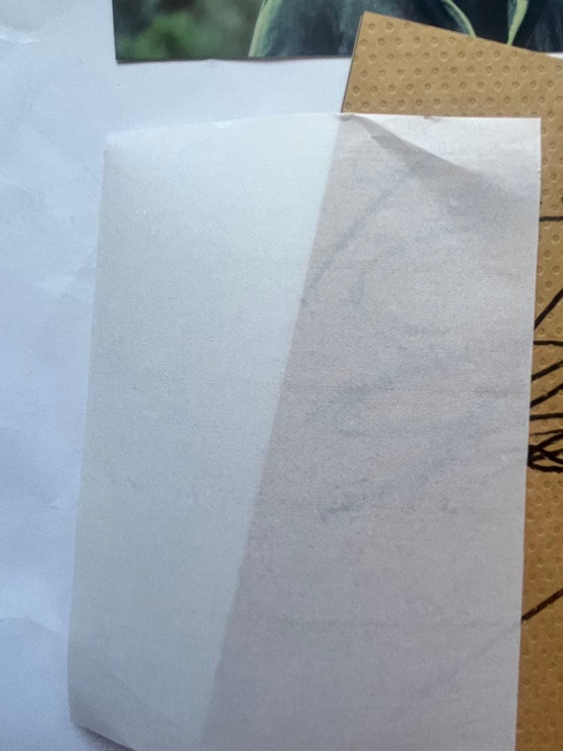 中邑真輔選手 直筆サイン入り自伝本、プロ格ヒーローフィギュア、おまけつき