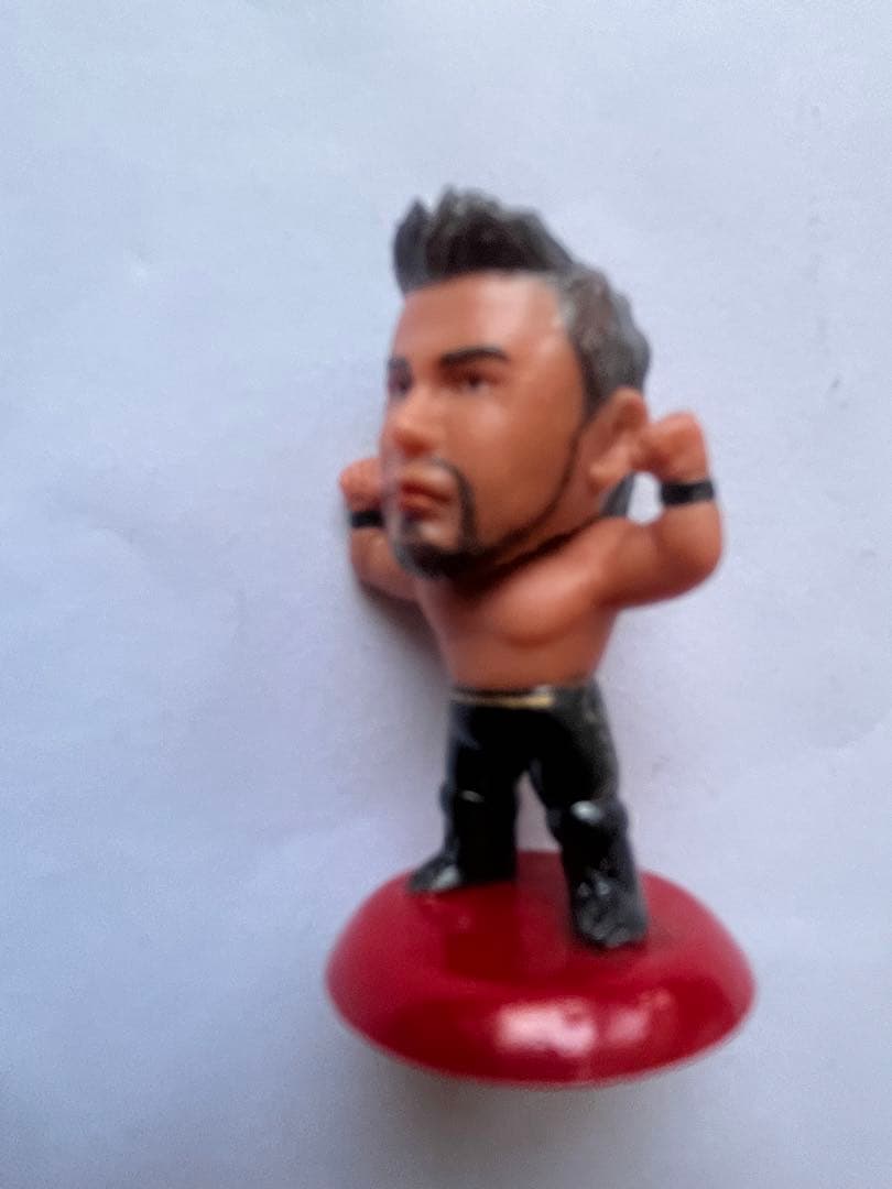 中邑真輔選手 直筆サイン入り自伝本、プロ格ヒーローフィギュア、おまけつき