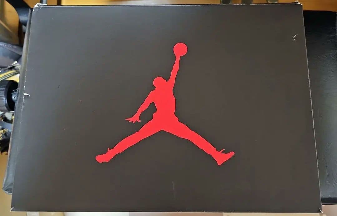 Jordan Air Jordan 5 ホワイト/ブラウン 29cm