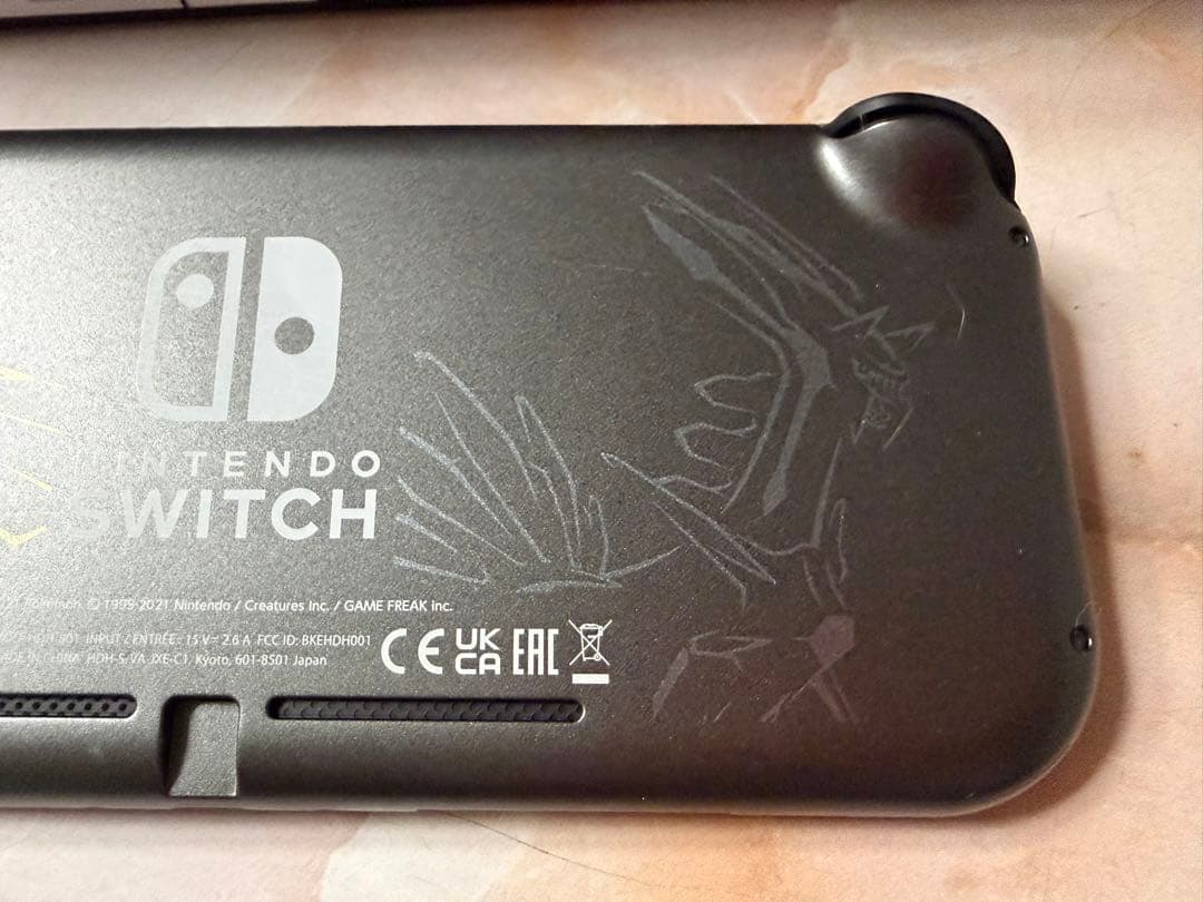 Nintendo Switch Lite グレー 本体フィルム特典付き(美品)