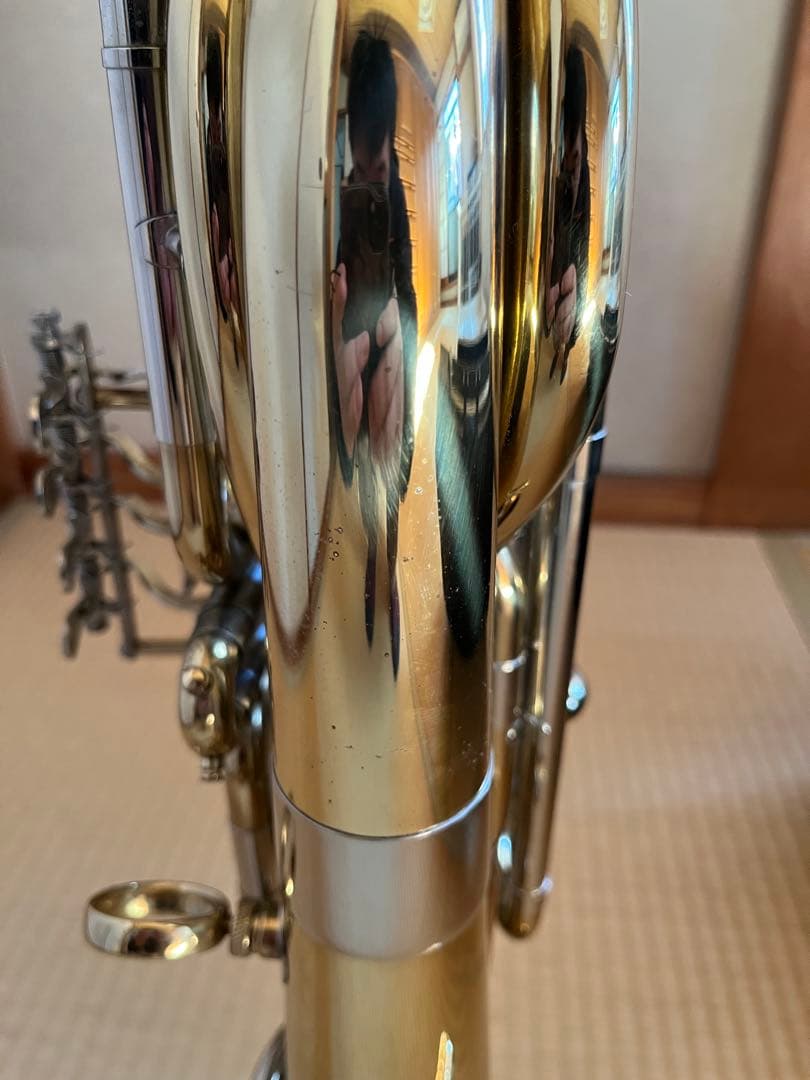 Behning & Sons 製　トラベルチューバ　ミニチューバ