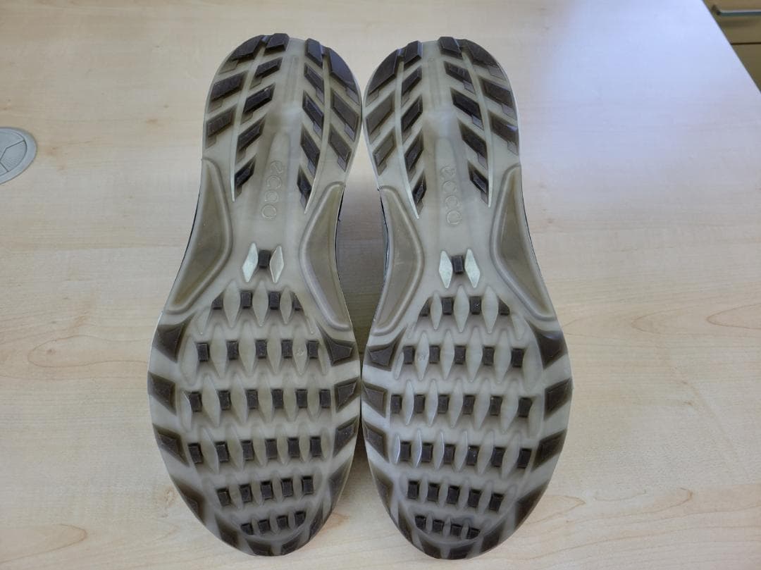 ECCO BIOM C4 BOA ゴルフシューズGORE-TEX 26cm 美品