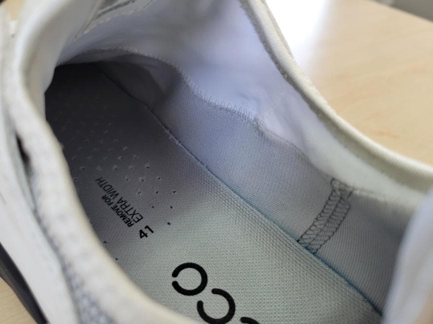 ECCO BIOM C4 BOA ゴルフシューズGORE-TEX 26cm 美品