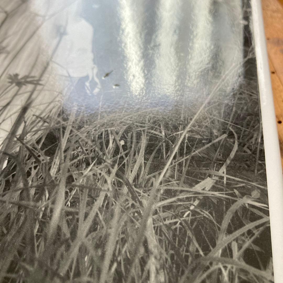 初版Neighbors / Nachbarn Collier Schorr