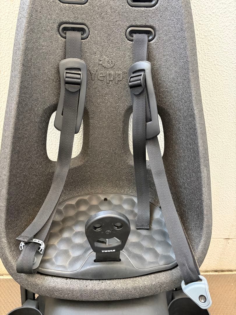 Thule Yepp Nexxt Maxi 自転車用チャイルドシート