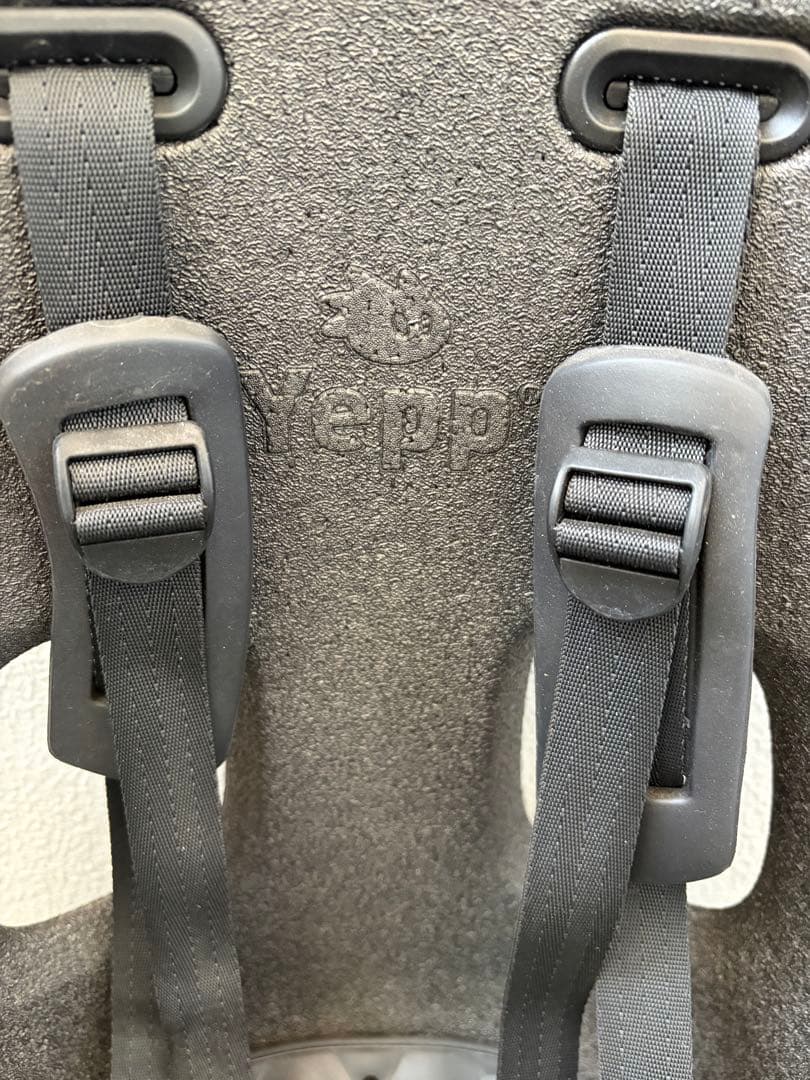 Thule Yepp Nexxt Maxi 自転車用チャイルドシート