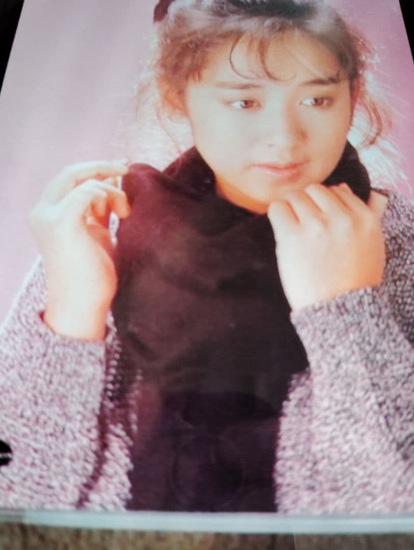 斉藤由貴 斉藤さんちのお客様さま全16回DVDセット