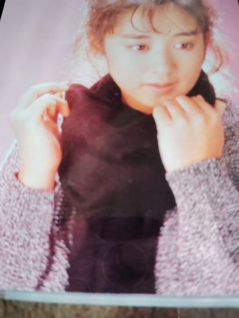 斉藤由貴 斉藤さんちのお客様さま全16回DVDセット